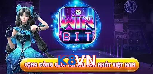 K8VN